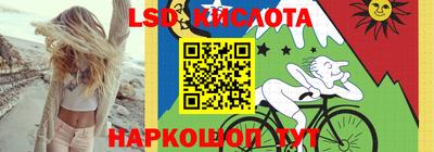 стаф Тула