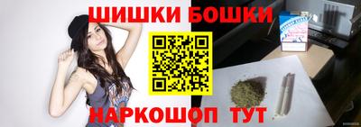 стаф Тула