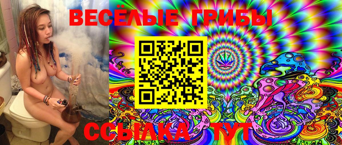 Галлюциногенные грибы Magic Shrooms Александров
